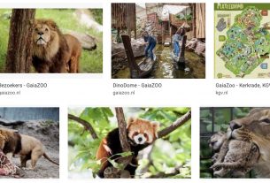 GaiaZoo: een onvergetelijke beleving voor jong en oud